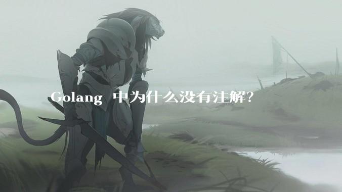 Golang 中为什么没有注解？