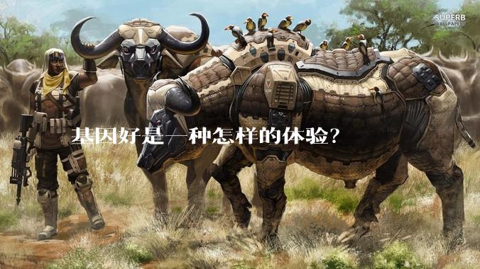 基因好是一种怎样的体验？