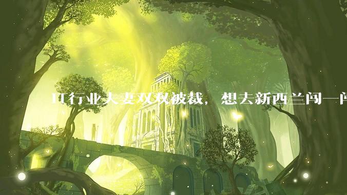 IT行业夫妻双双被裁，想去新西兰闯一闯可以吗？