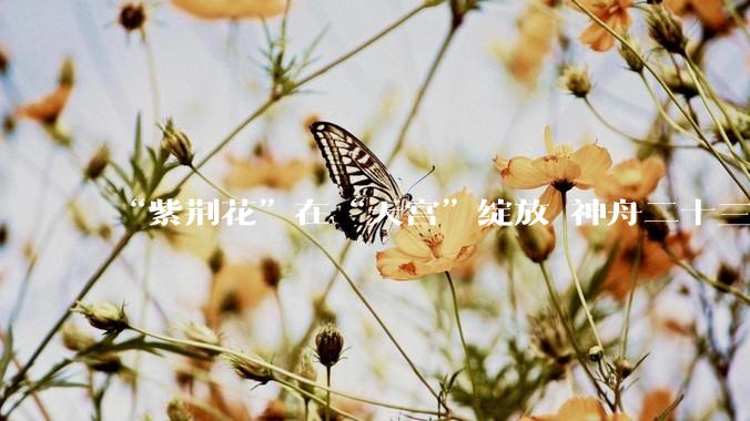 “紫荆花”在“天宫”绽放 神舟二十三号乘组创下多少“首次”？｜封面头条_飞船_空间站_中国香港