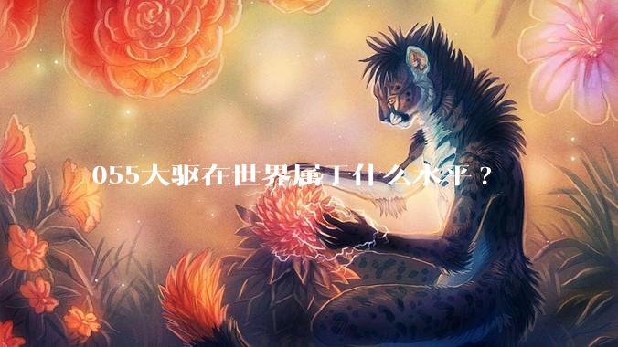 055大驱在世界属于什么水平?
