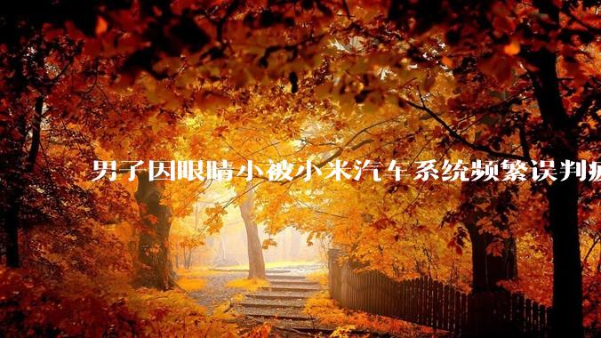 男子因眼睛小被小米汽车系统频繁误判疲劳驾驶，一路提醒20多次，这是智能汽车通病吗？怎么解决该 bug？