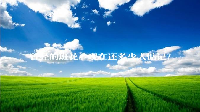 曾经的班花，现在还多少人惦记？