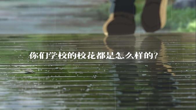 你们学校的校花都是怎么样的？