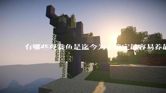 有哪些观赏鱼是迄今为止确定最容易养最不容易死的？