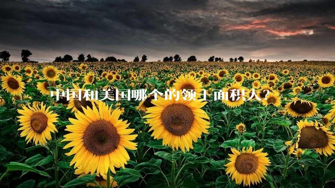 中国和美国哪个的领土面积大？