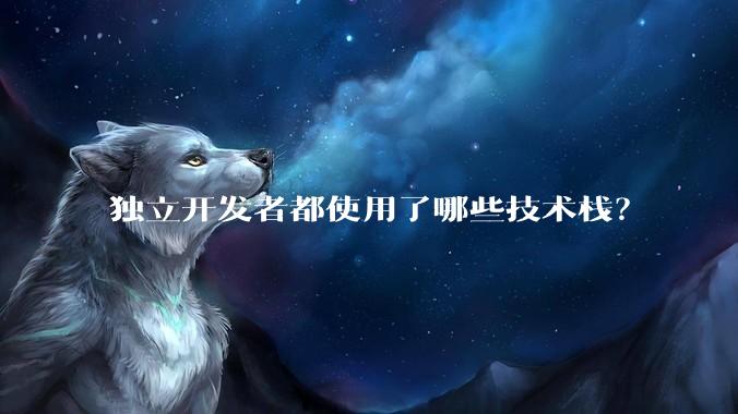 独立开发者都使用了哪些技术栈？