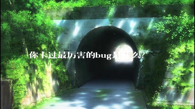 你卡过最厉害的bug是什么？